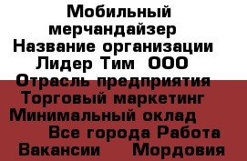 Мобильный мерчандайзер › Название организации ­ Лидер Тим, ООО › Отрасль предприятия ­ Торговый маркетинг › Минимальный оклад ­ 23 000 - Все города Работа » Вакансии   . Мордовия респ.